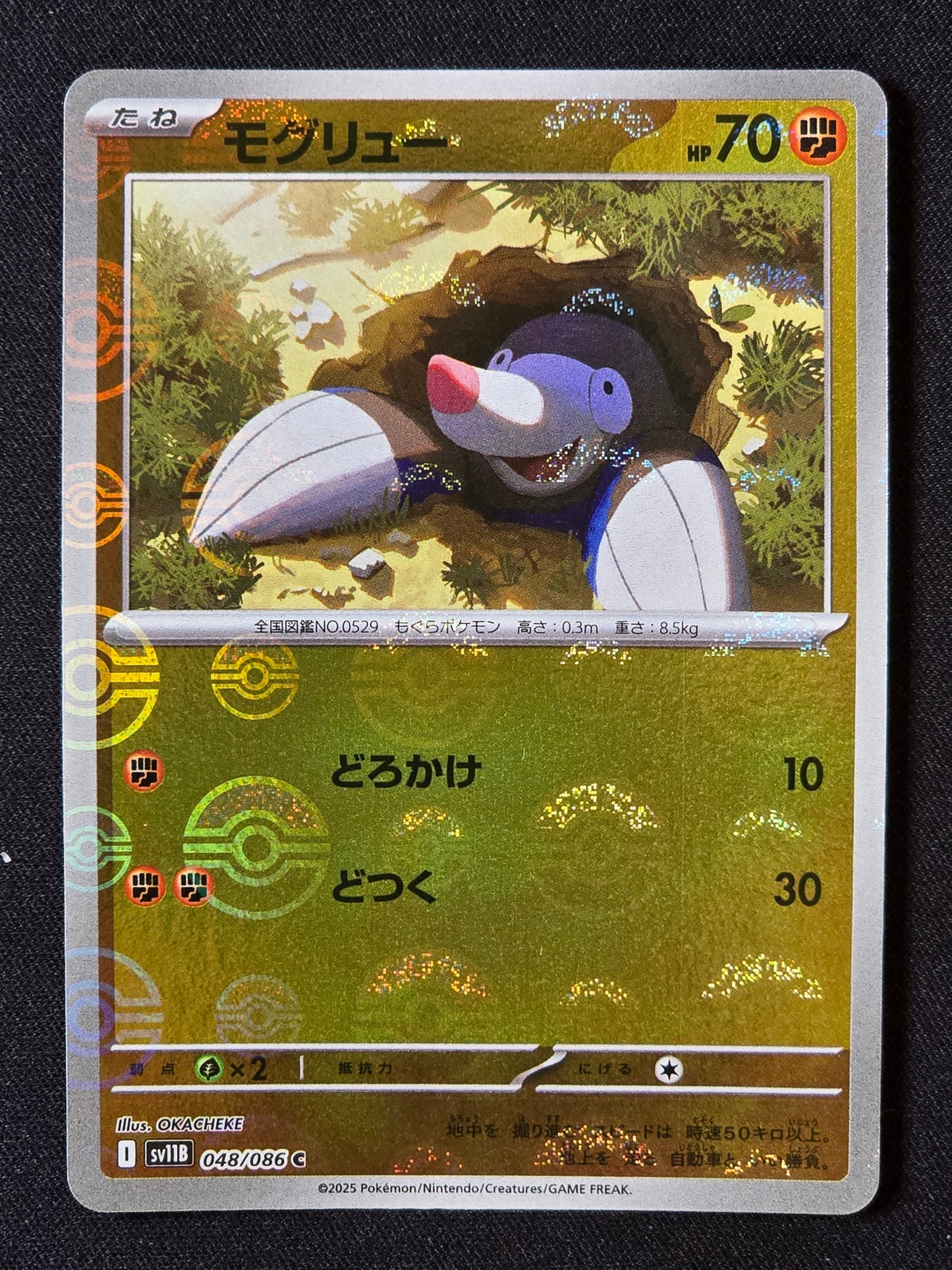 Rototaupe xsv11B 048 (Pokéball)