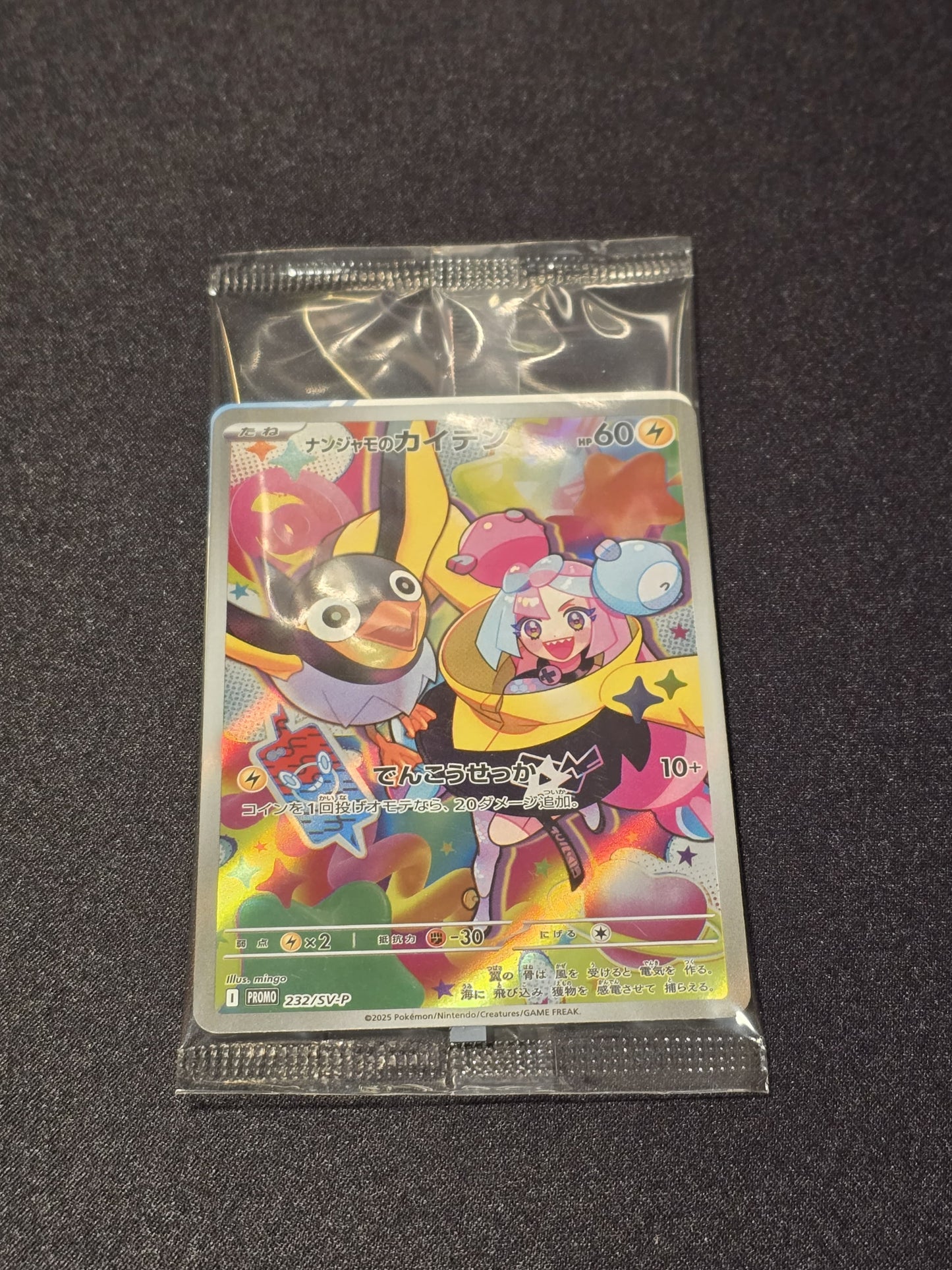 Zapétrel de Mashynn (SV-P 232) JP