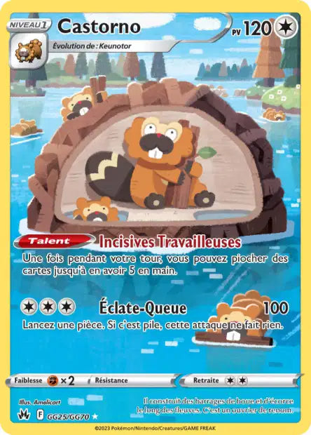 Castorno GG25