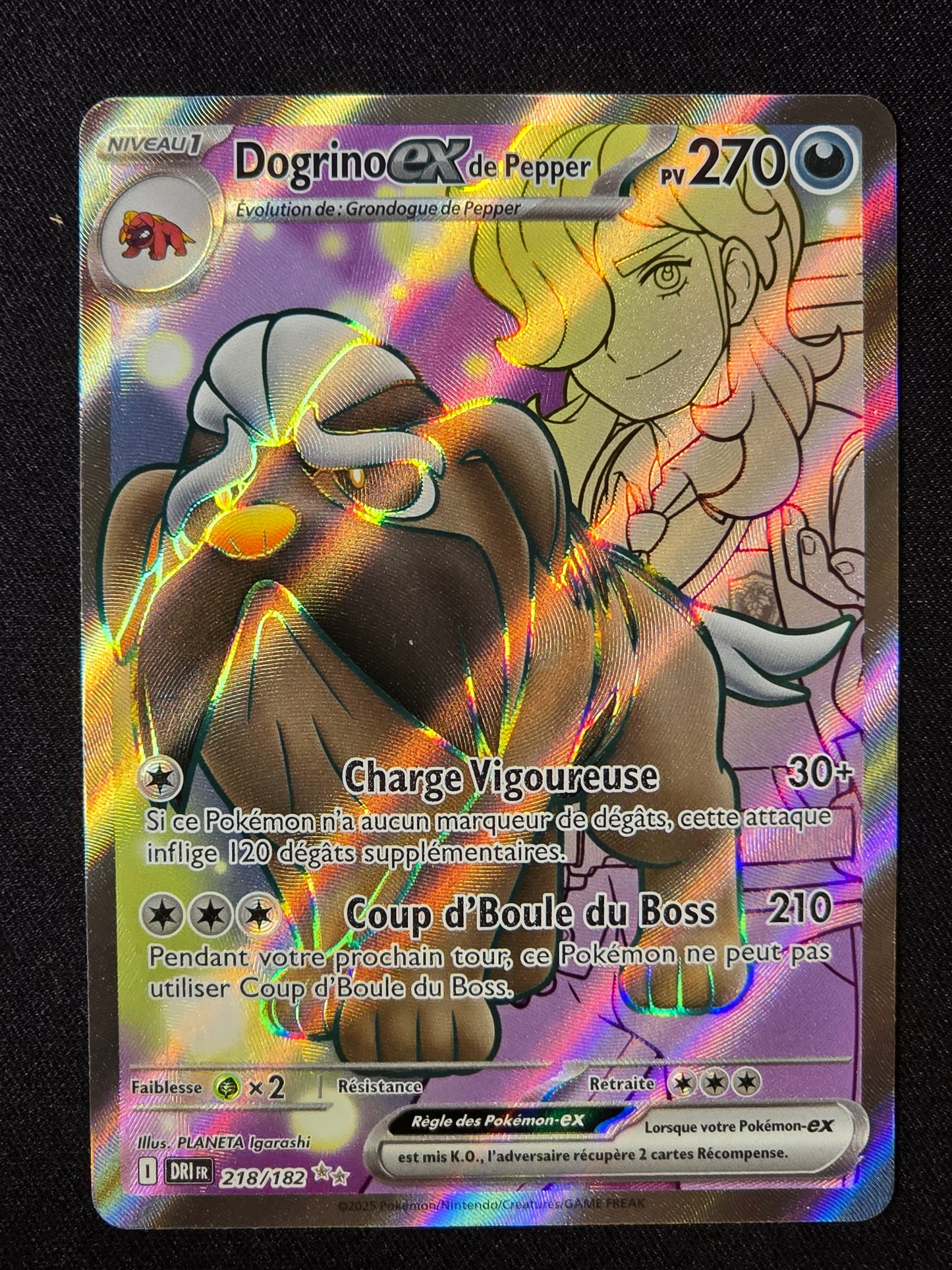 Dogrino ex de Pepper DRI 218