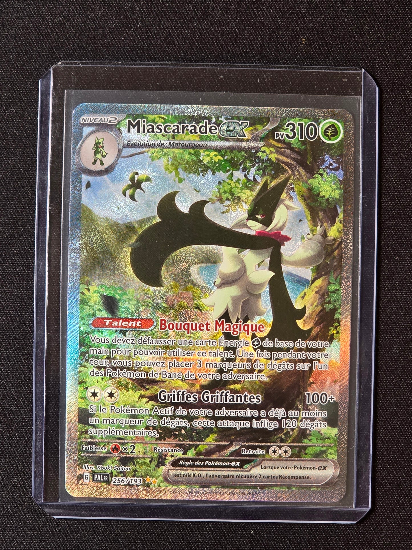 Miascarade ex PAL 256