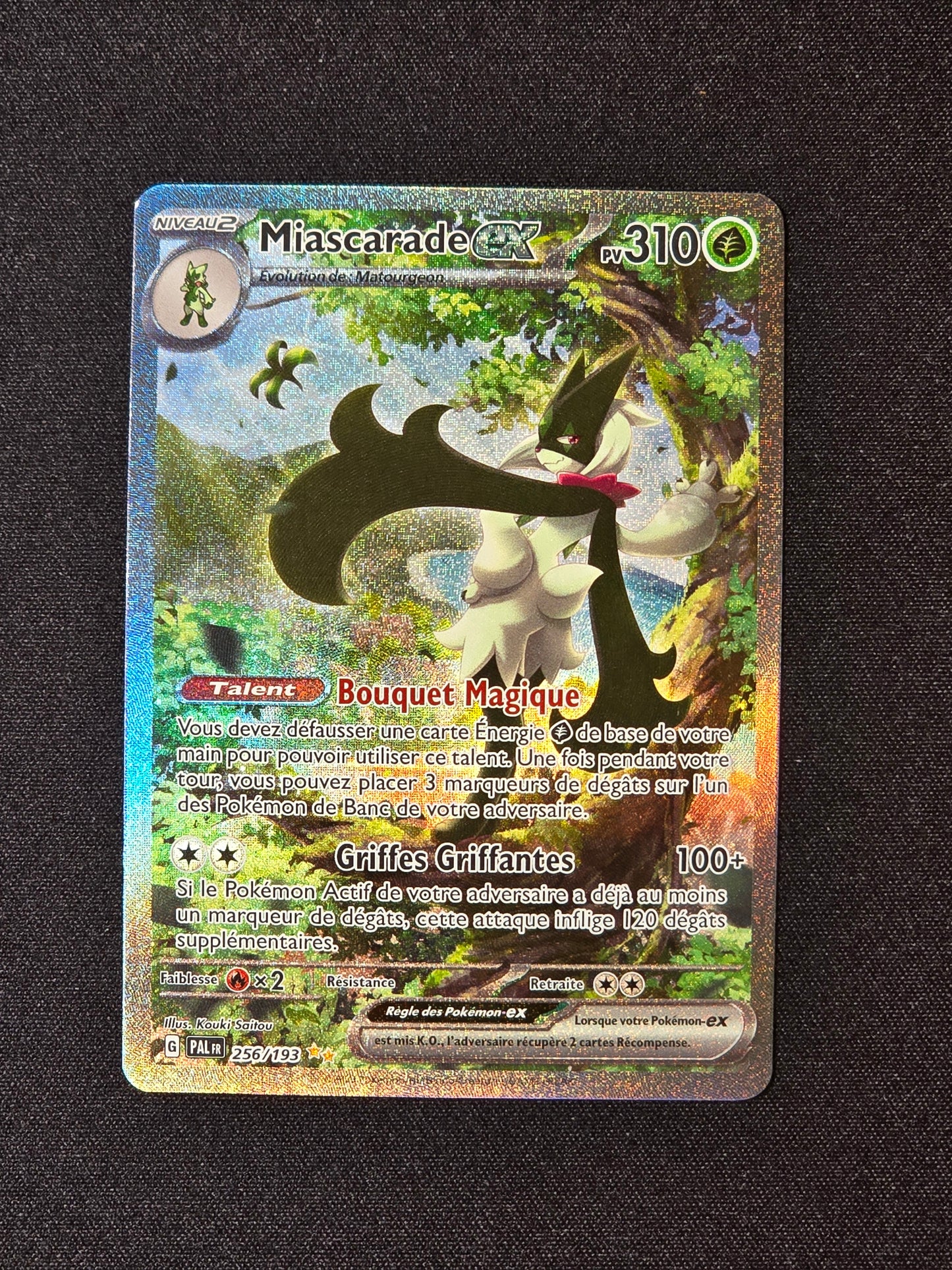 Miascarade ex PAL 256