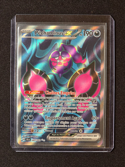 Pêchaminus ex SFA 085