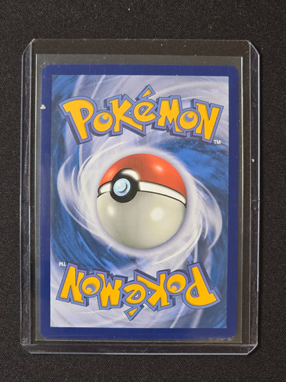 Fortusimia ex SFA 083