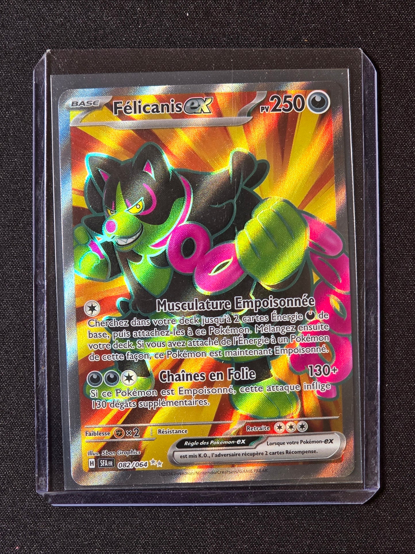 Félicanis ex SFA 082