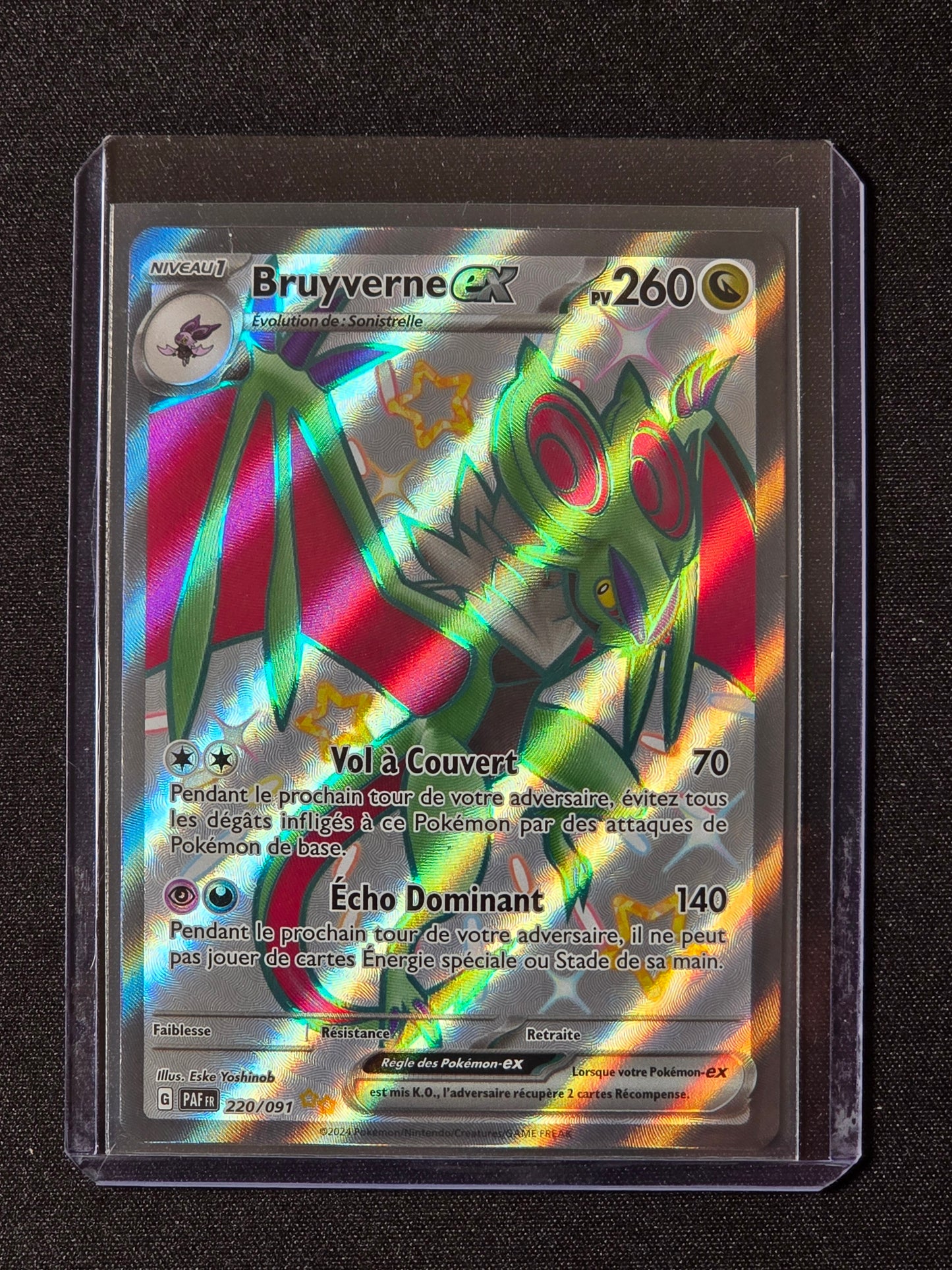 Bruyverne ex PAF 220