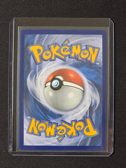 Bruyverne ex PAF 220