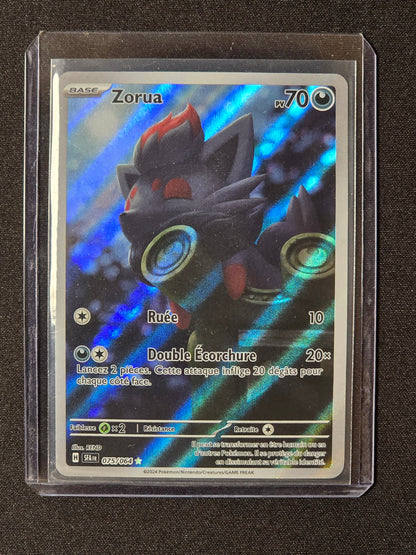 Zorua SFA 075