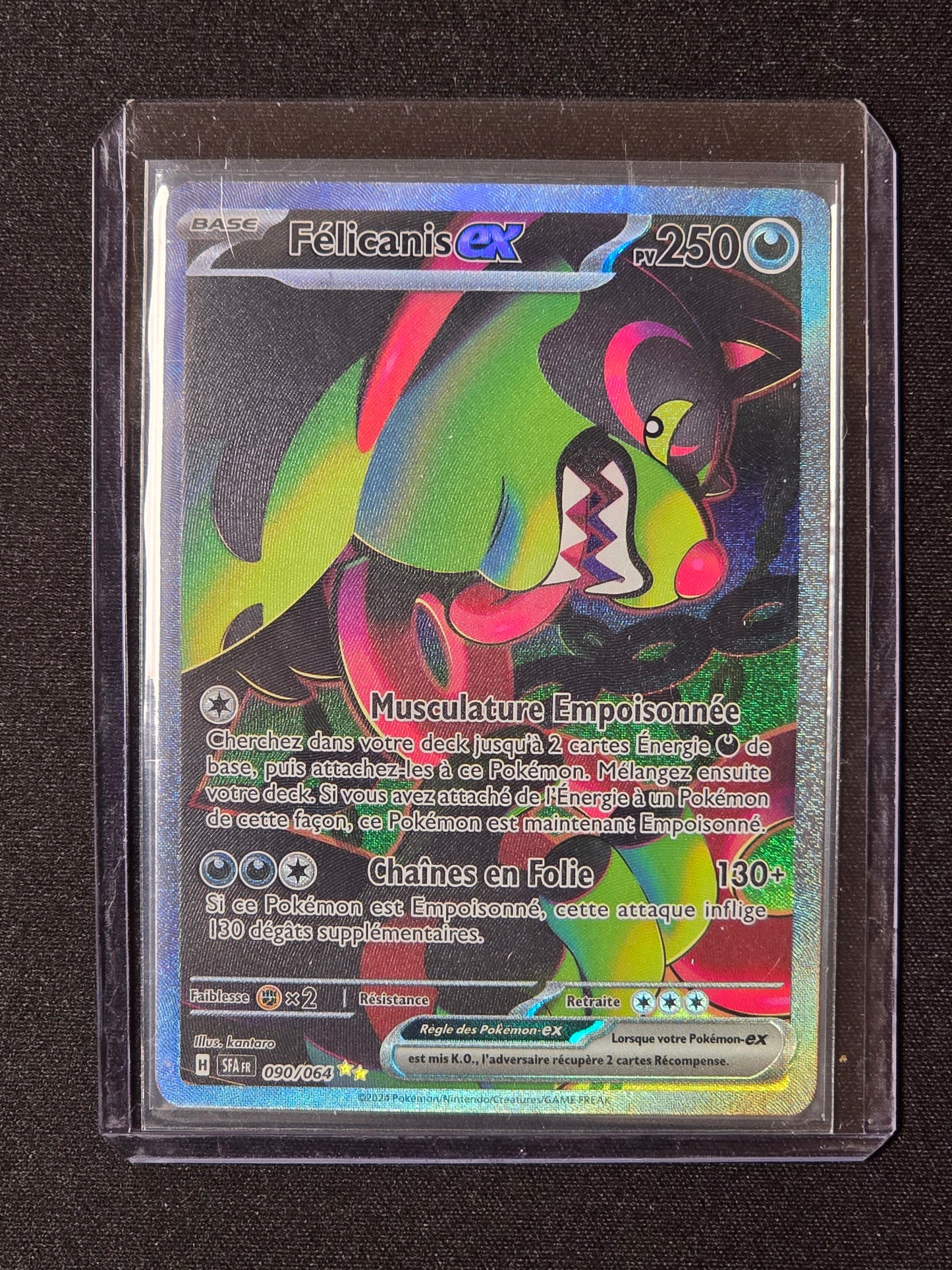 Félicanis ex SFA 090