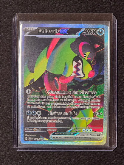 Félicanis ex SFA 090