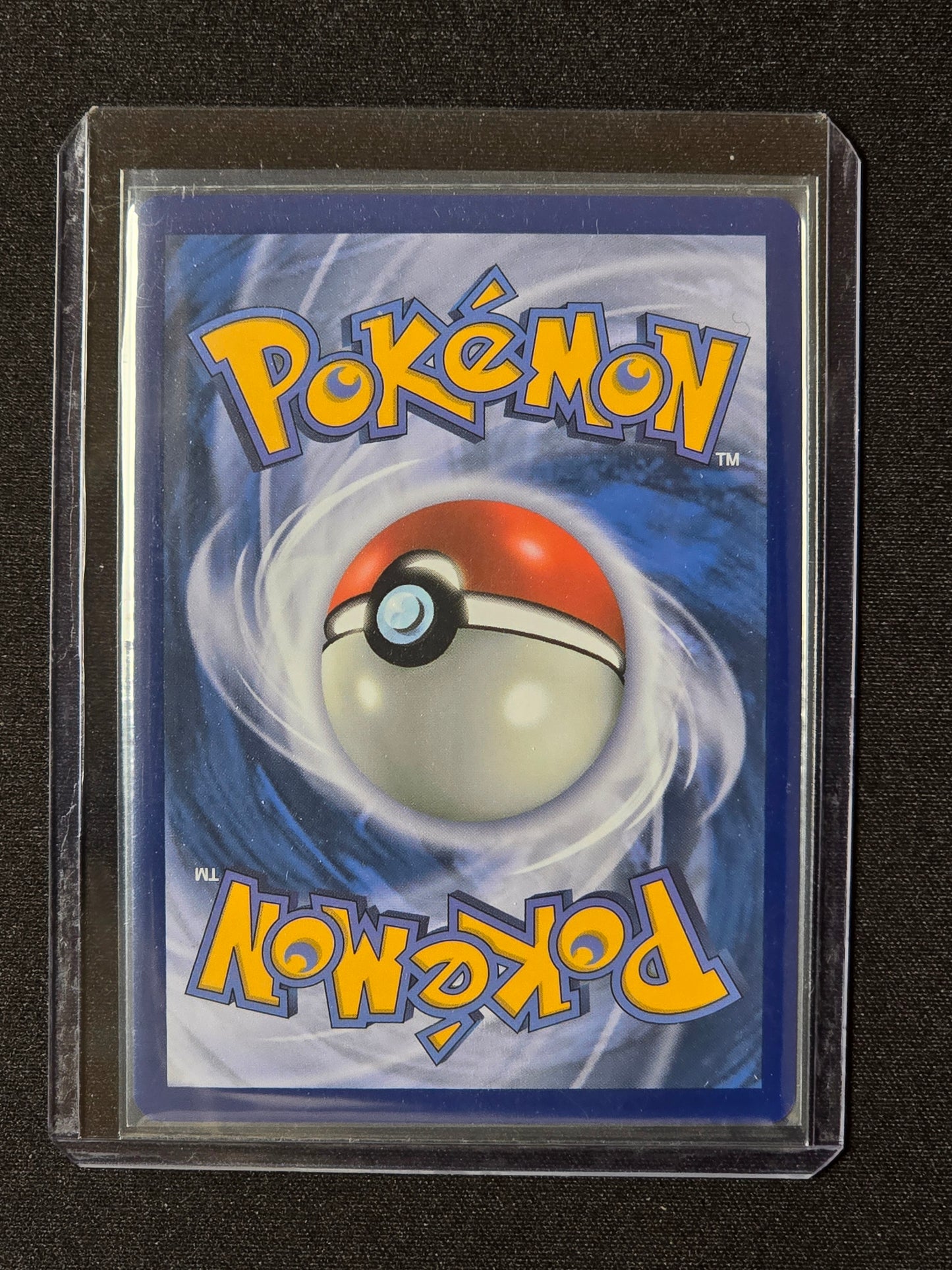 Fortusimia ex SFA 091