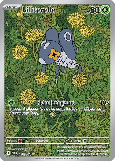 Lilliterelle PFL 096