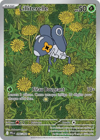 Lilliterelle PFL 096