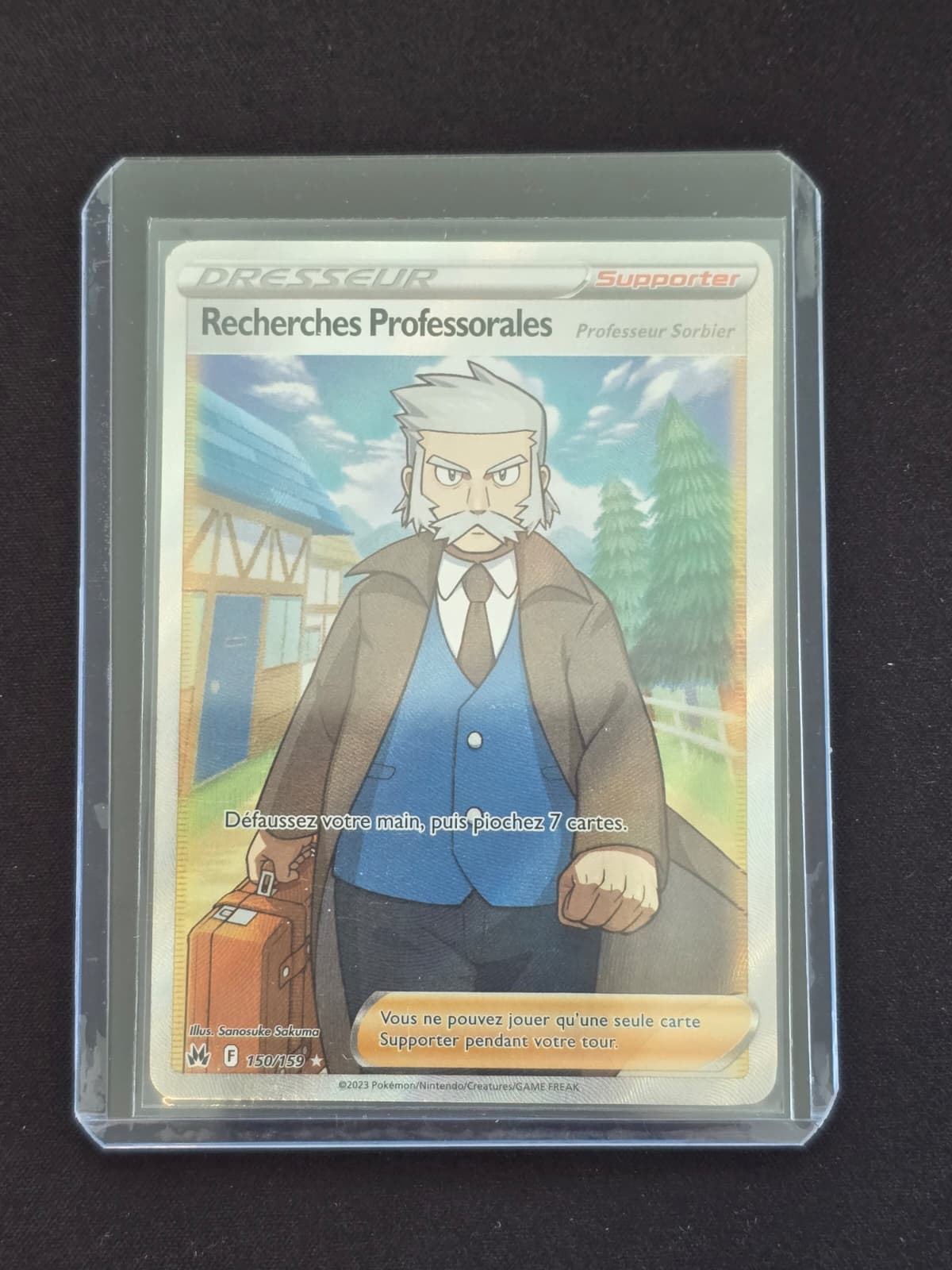 Recherches Professorales Professeur Sorbier 150/159